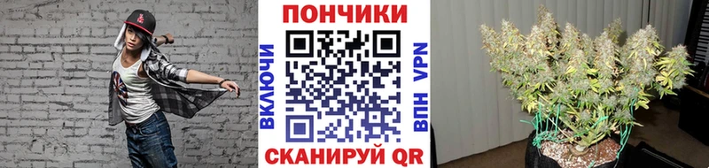 Конопля OG Kush  наркота  Тогучин 